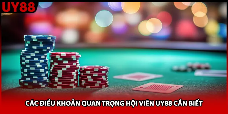 Các điều khoản quan trọng hội viên UY88 cần biết