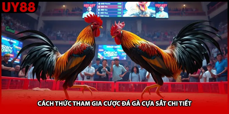 Cách thức tham gia cược đá gà cựa sắt chi tiết