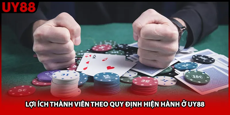 Lợi ích thành viên theo quy định hiện hành ở UY88